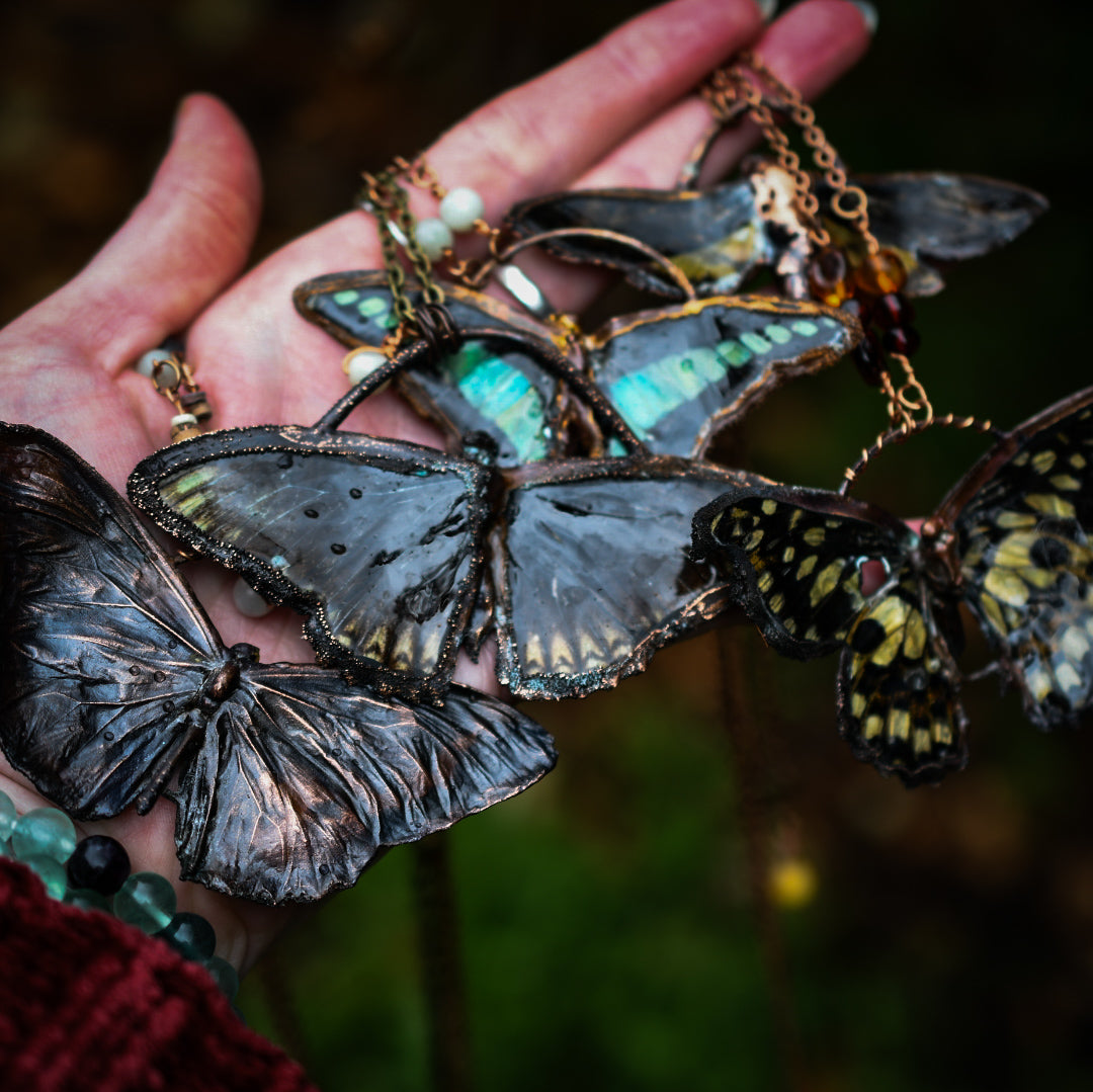 Real butterfly copper electroformed necklace