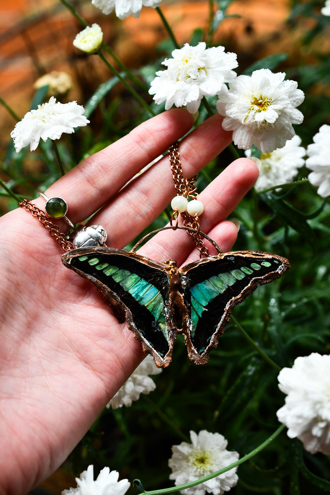 Real butterfly (Graphium sarpedon) copper electroformed necklace