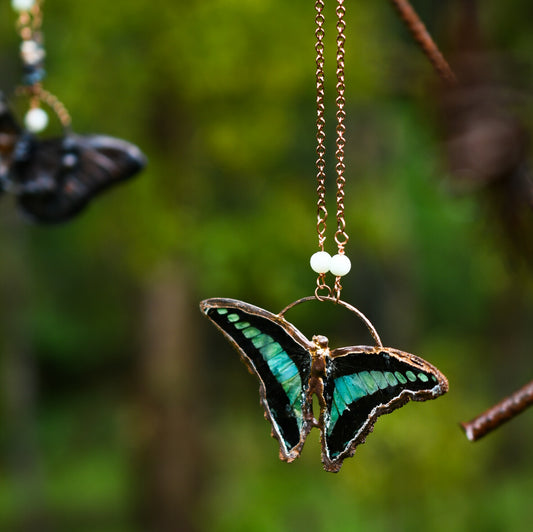 Real butterfly (Graphium sarpedon) copper electroformed necklace