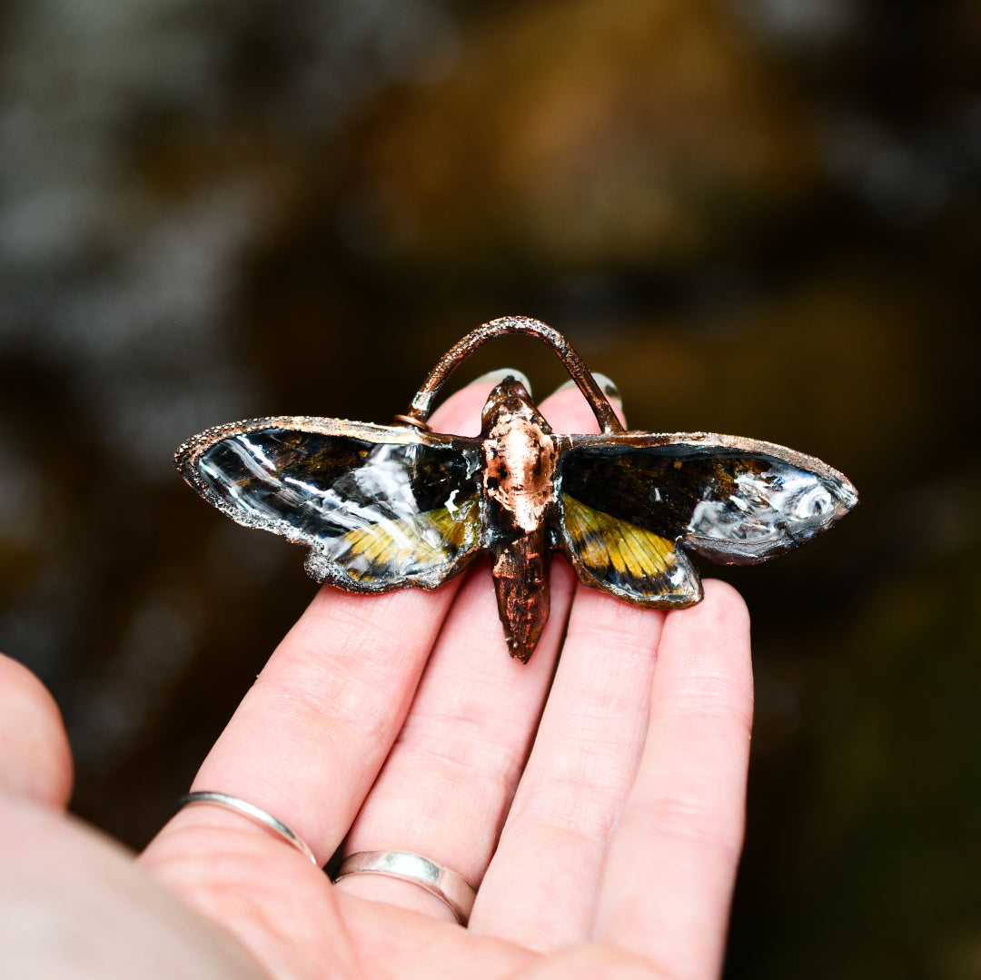 Real Death's Head Hawk Moth copper electroformed necklace with Ancient Egyptian beads