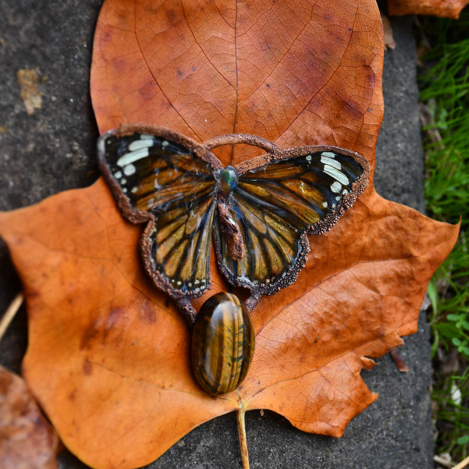 Real tiger butterfly specimen with Ethiopian opal and tigers eye pendant necklace in electroformed copper