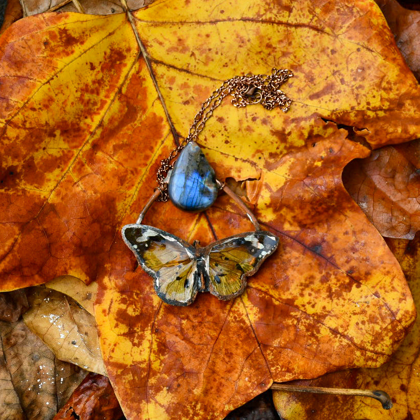 Real butterfly specimen with blue labradorite pendant necklace in electroformed copper