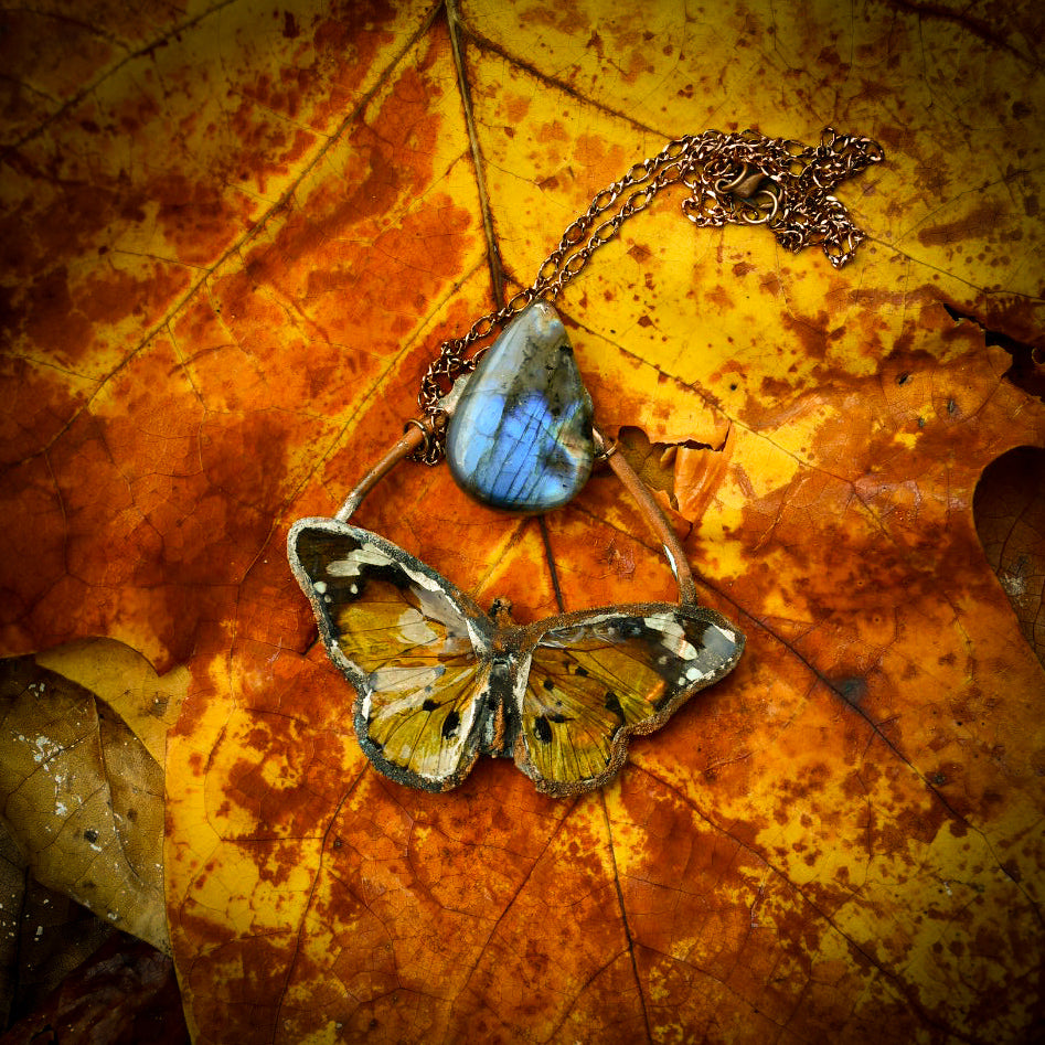 Real butterfly specimen with blue labradorite pendant necklace in electroformed copper