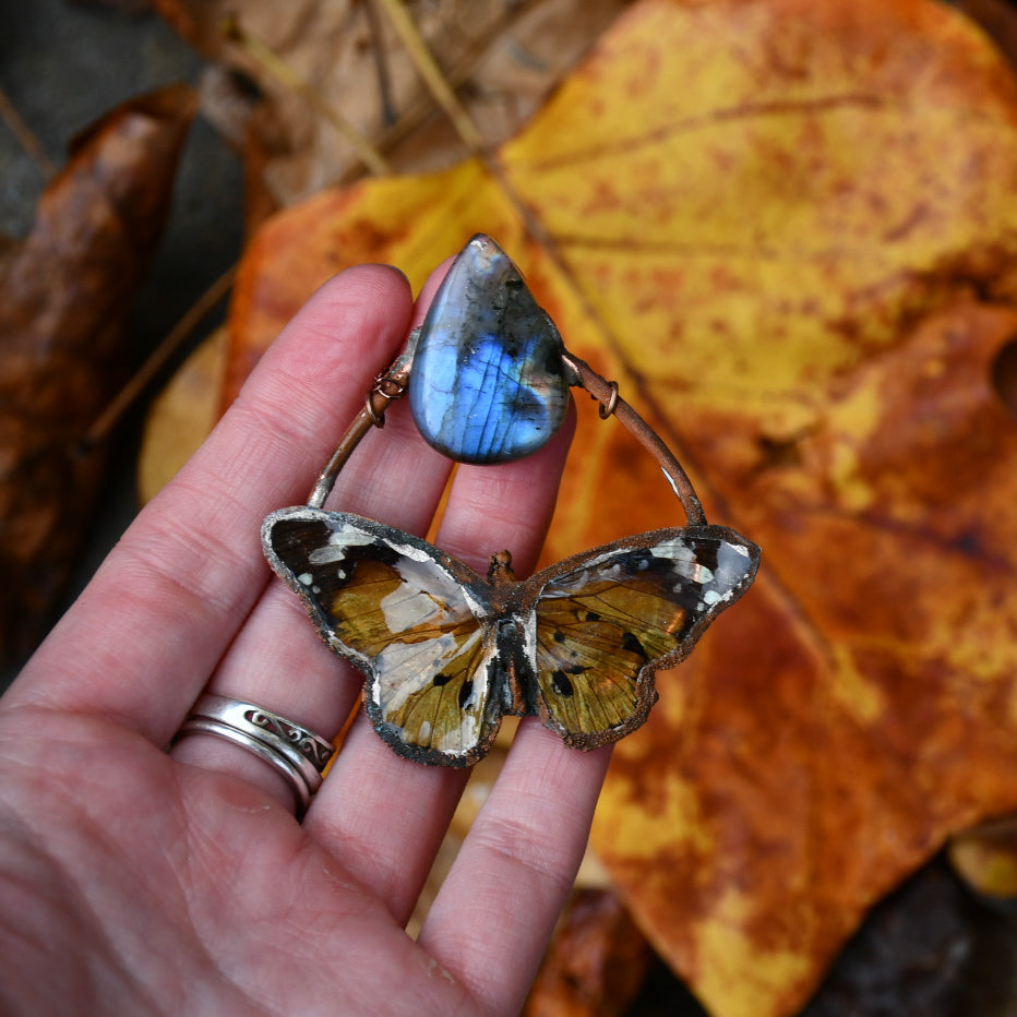 Real butterfly specimen with blue labradorite pendant necklace in electroformed copper