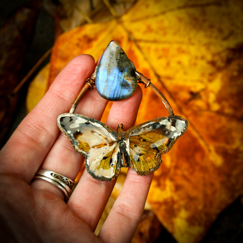 Real butterfly specimen with blue labradorite pendant necklace in electroformed copper