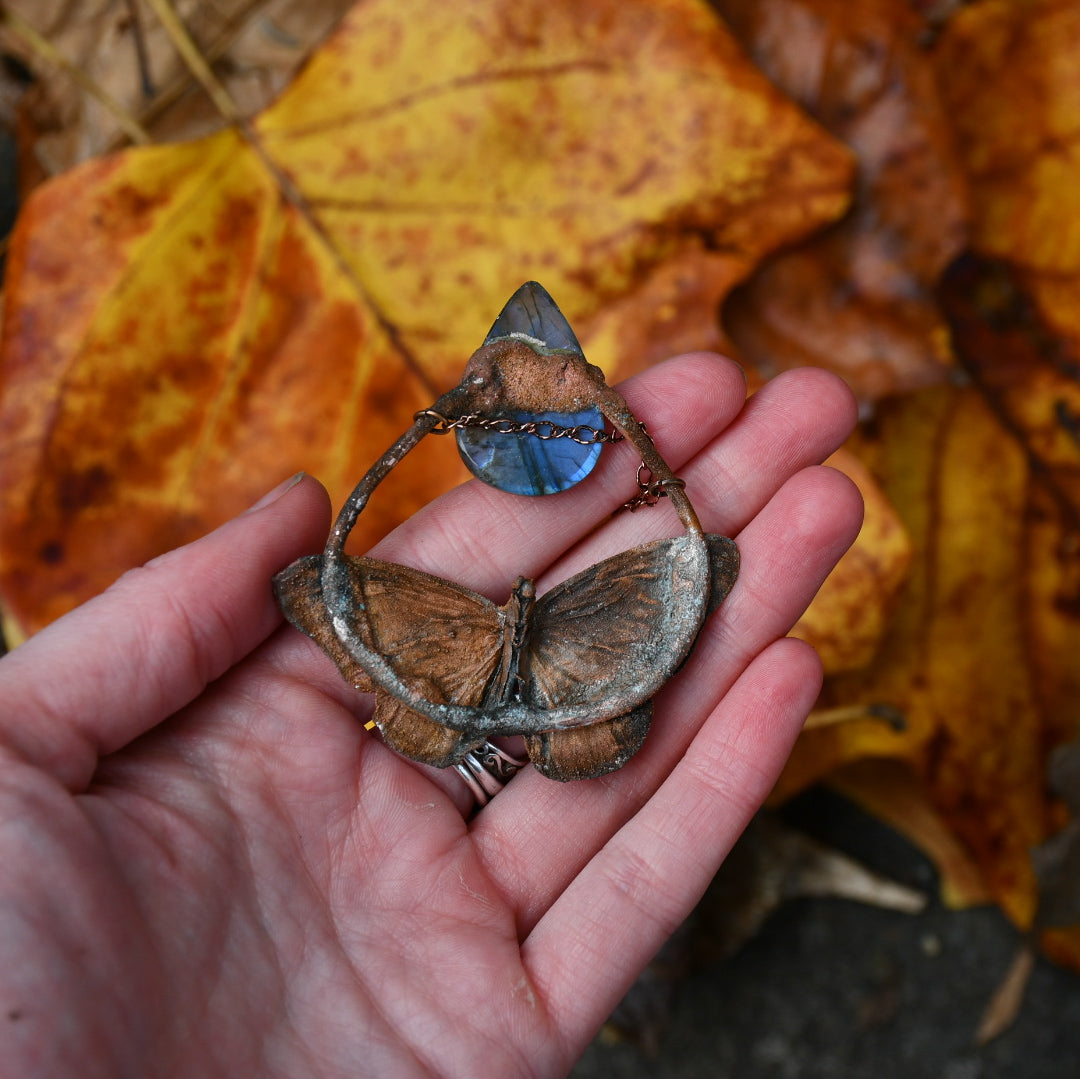 Real butterfly specimen with blue labradorite pendant necklace in electroformed copper