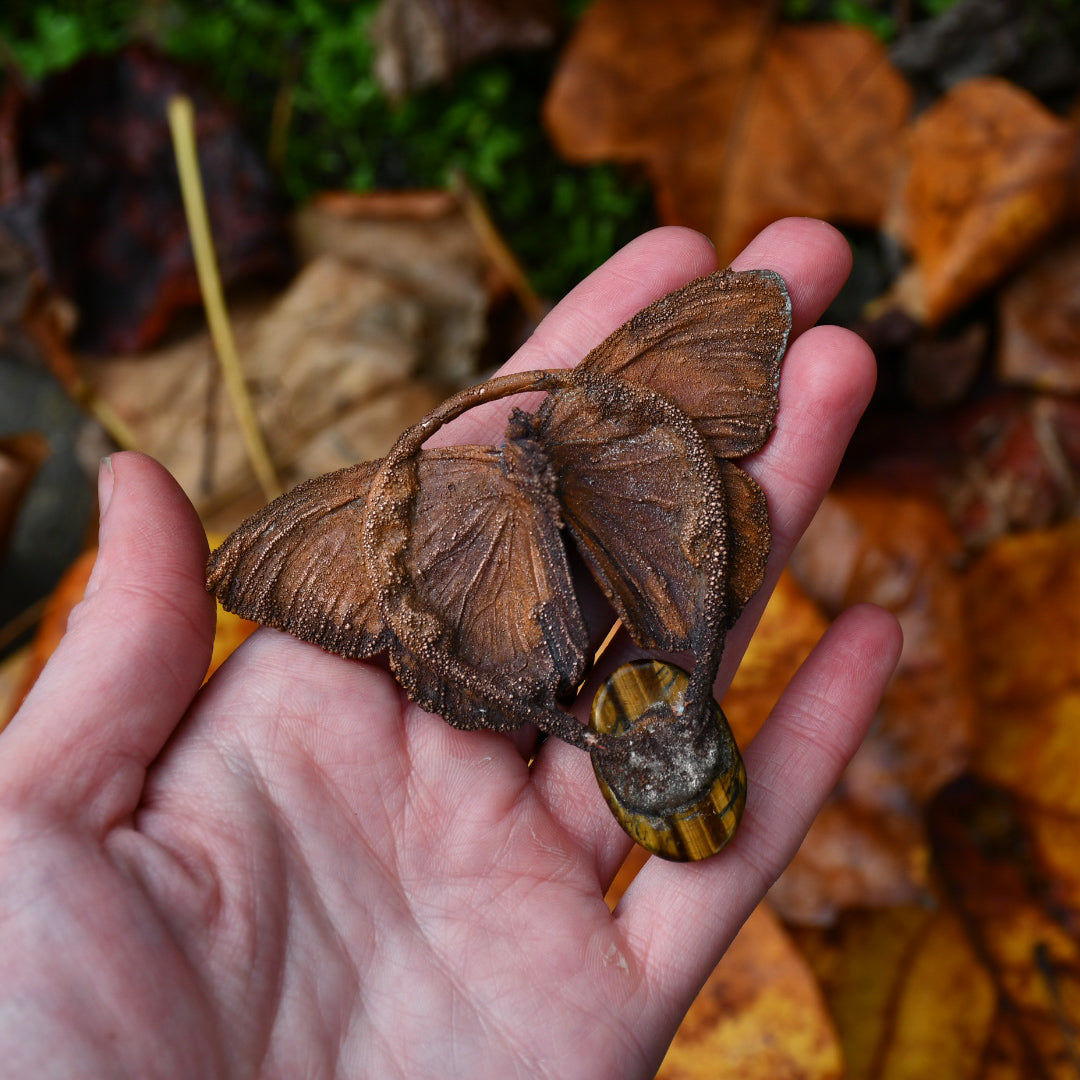 Real tiger butterfly specimen with Ethiopian opal and tigers eye pendant necklace in electroformed copper