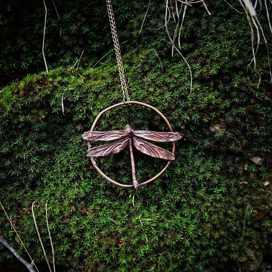 Real (headless) dragonfly specimen pendant necklace in electroformed copper