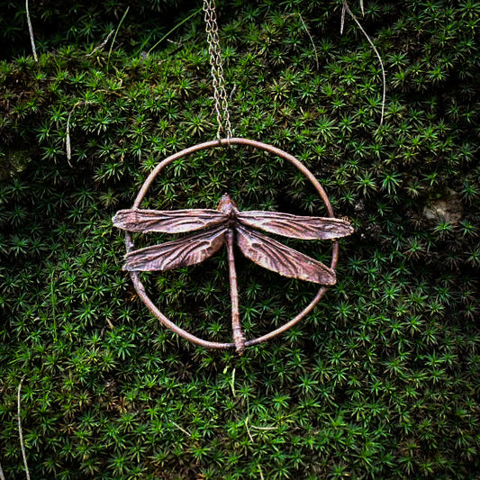 Real (headless) dragonfly specimen pendant necklace in electroformed copper