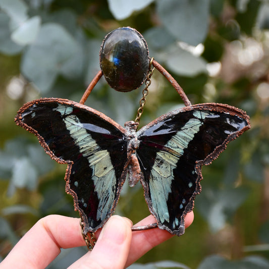 Real blue butterfly specimen with rainbow labradorite pendant necklace in electroformed copper