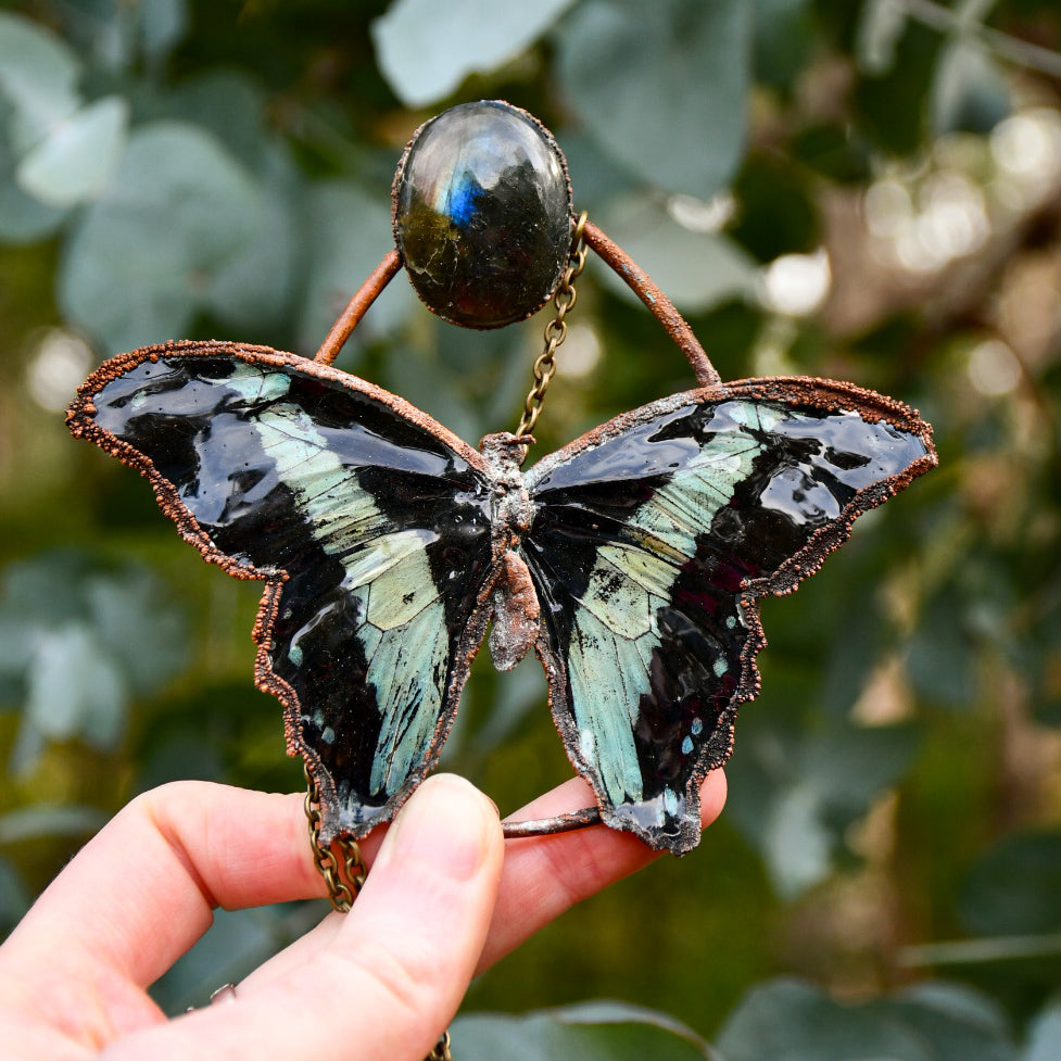 Real blue butterfly specimen with rainbow labradorite pendant necklace in electroformed copper