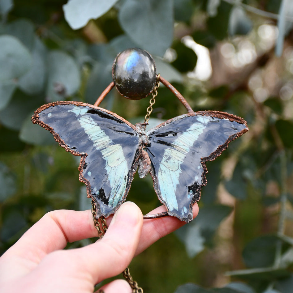 Real blue butterfly specimen with rainbow labradorite pendant necklace in electroformed copper