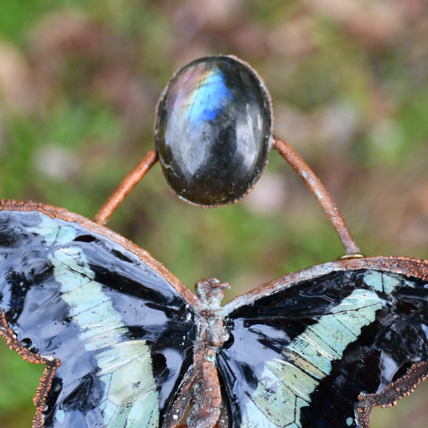 Real blue butterfly specimen with rainbow labradorite pendant necklace in electroformed copper