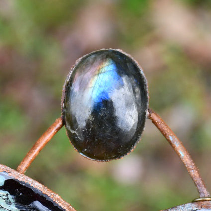 Real blue butterfly specimen with rainbow labradorite pendant necklace in electroformed copper