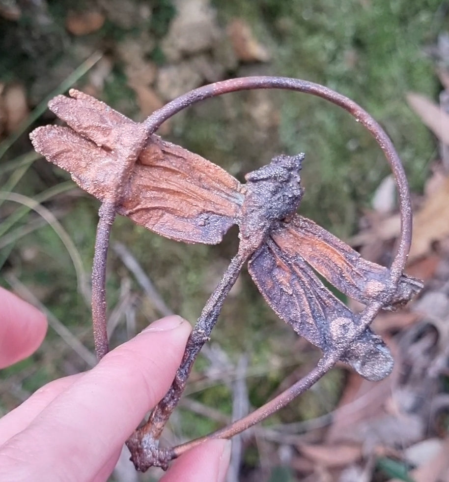 Real (headless) dragonfly specimen pendant necklace with Ethiopian opal in electroformed copper