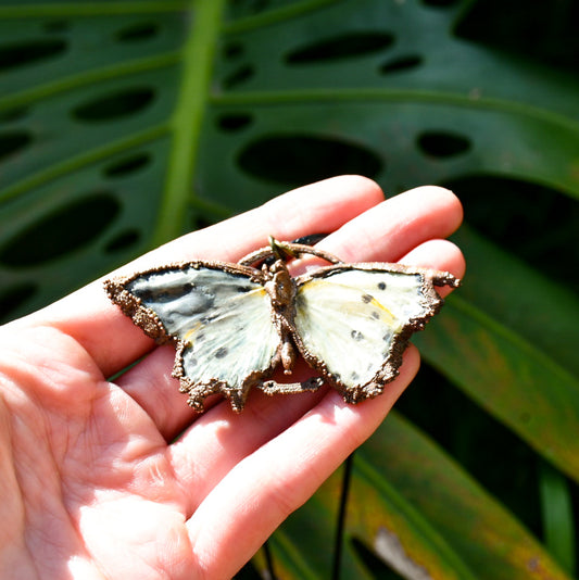 Real cabbage white butterfly specimen pendant necklace in electroformed copper