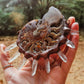 Ancient ammonite and raw clear quartz electroformed pendant necklace