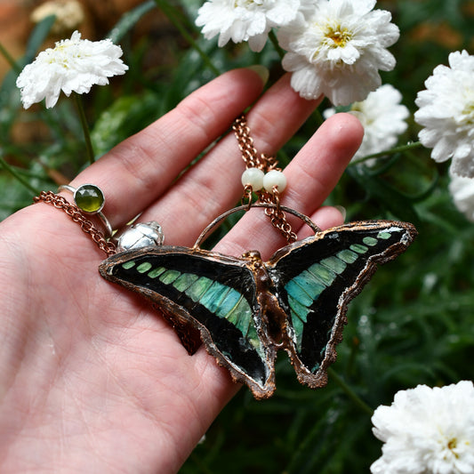 Real butterfly (Graphium sarpedon) copper electroformed necklace