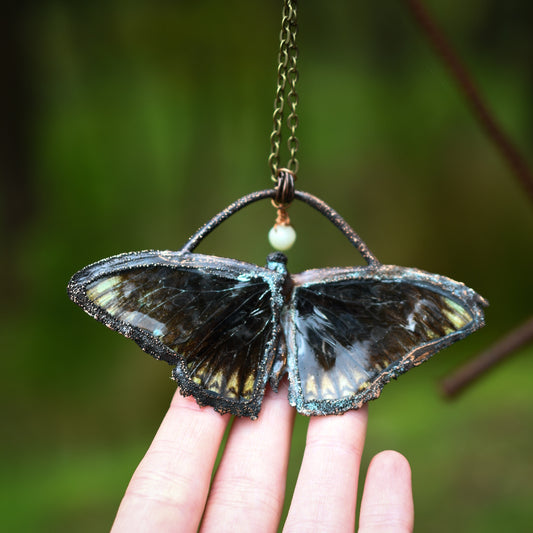 Real butterfly copper electroformed necklace