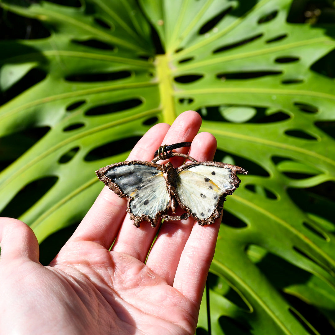 Real cabbage white butterfly specimen pendant necklace in electroformed copper