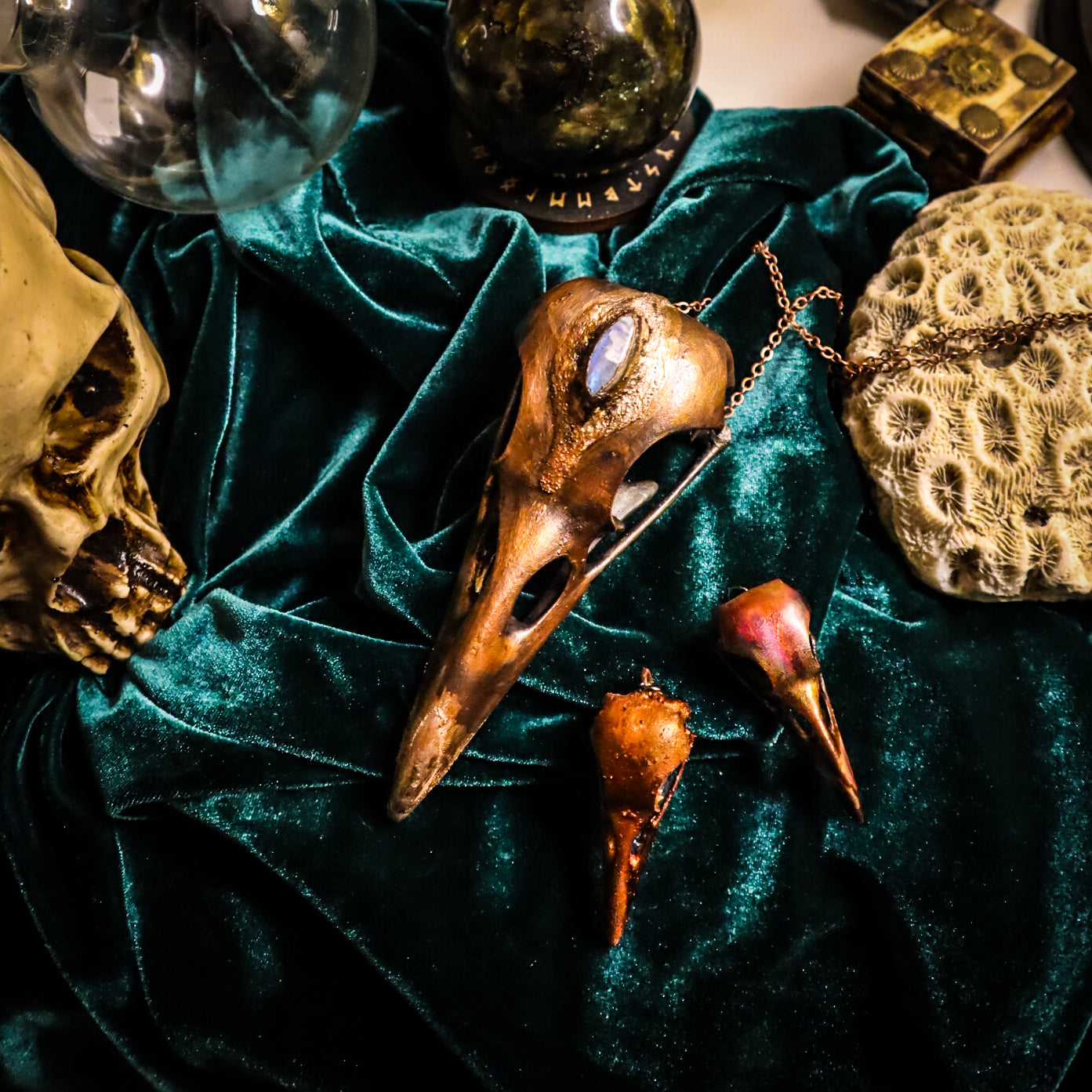 Giant copper electroformed bird skull pendant, three eyed raven, skull pendant necklace, moonstone, bird skull pendant, electroformed jewellery, copper skull, gothic necklace, goblincore aesthetic