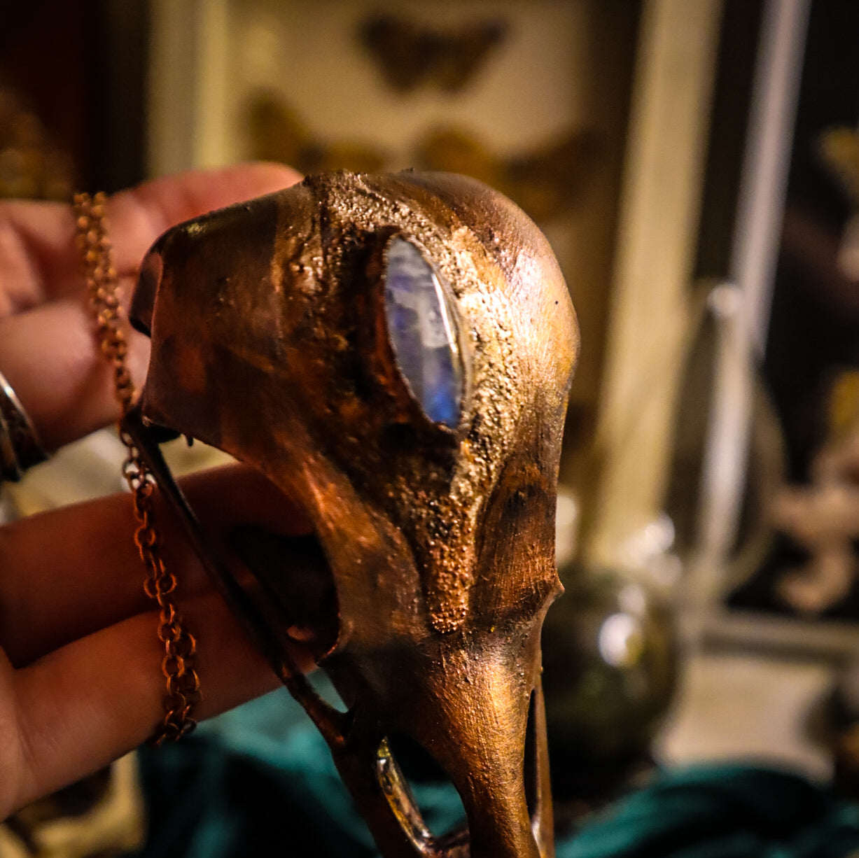 Giant copper electroformed bird skull pendant, three eyed raven, skull pendant necklace, moonstone, bird skull pendant, electroformed jewellery, copper skull, gothic necklace, goblincore aesthetic