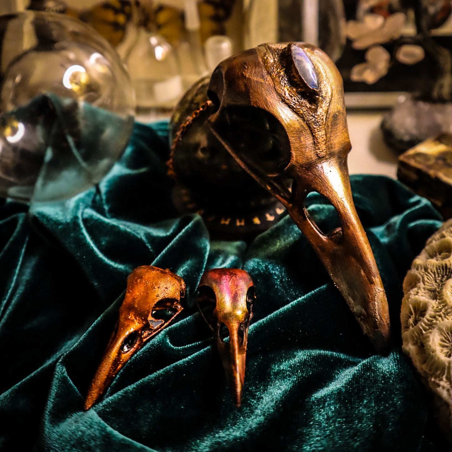 Giant copper electroformed bird skull pendant, three eyed raven, skull pendant necklace, moonstone, bird skull pendant, electroformed jewellery, copper skull, gothic necklace, goblincore aesthetic