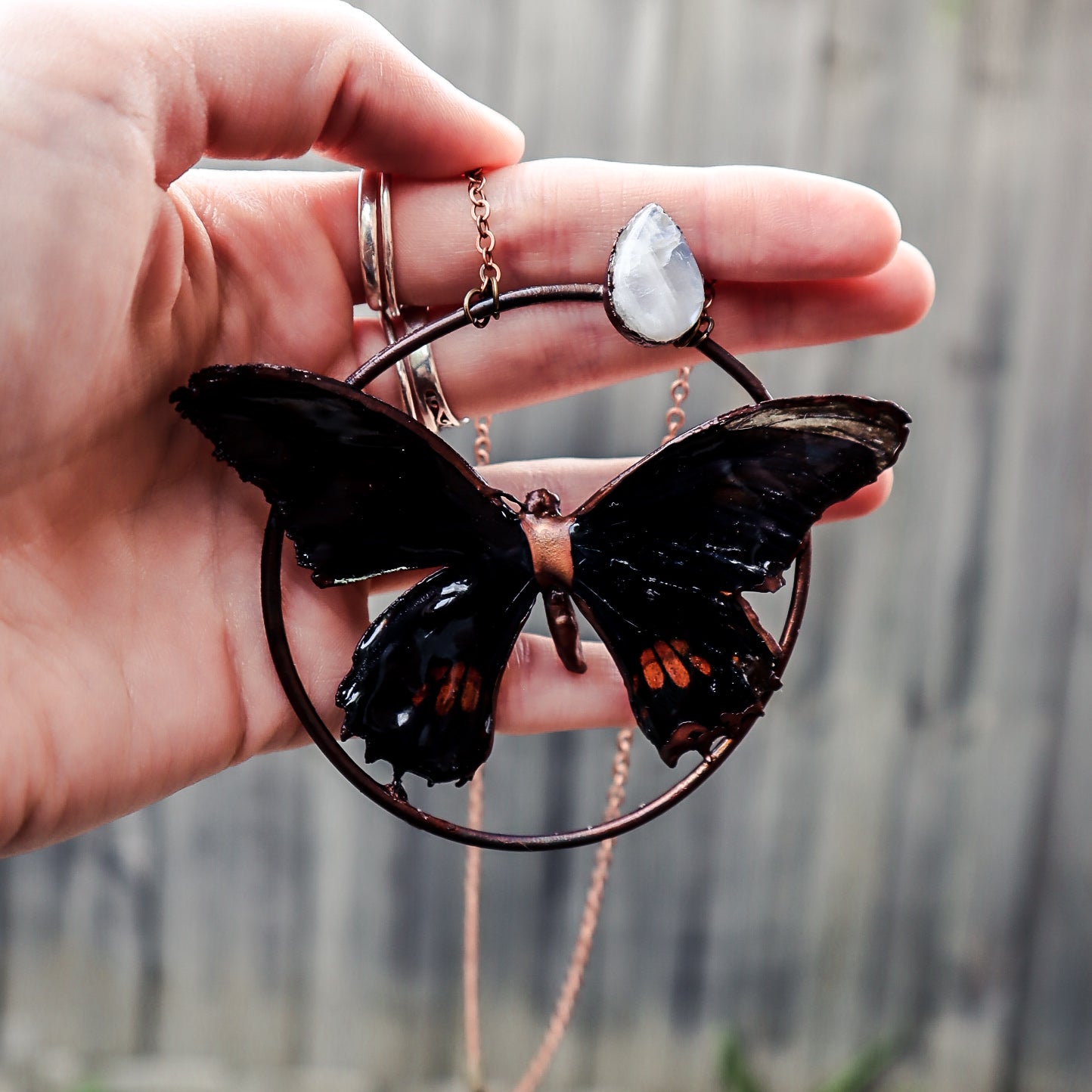 Copper electroformed butterfly pendant necklace with rainbow moonstone